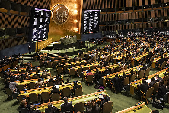 Valné shromádní OSN vyzvalo ke staení Rus, rezoluci podpoilo 141 zemí....