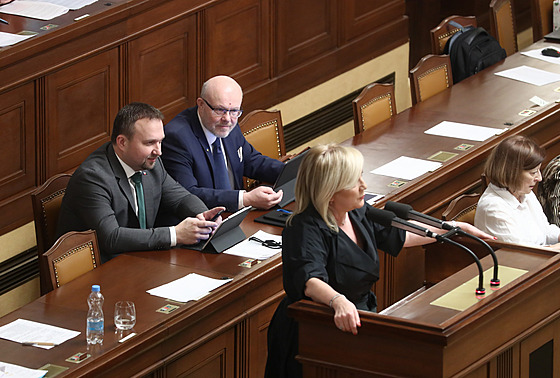 Jednání Poslanecké sn�movny. Na snímku hovo�í Alena Schillerová (ANO). (24....