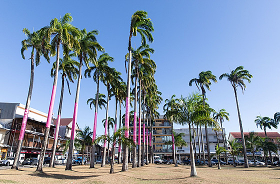 Hlavní msto Francouzské Guayany Cayenne