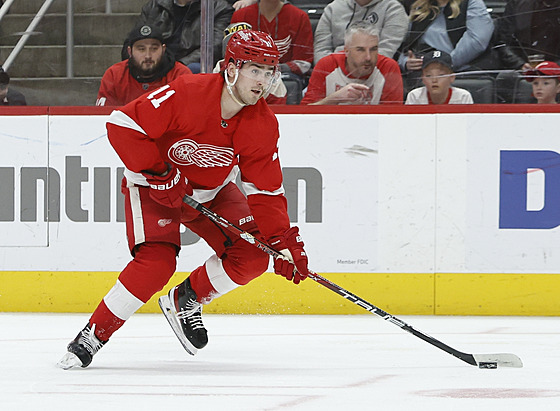 Úto�ník Detroitu Filip Zadina b�hem zápasu proti New Yorku Rangers.