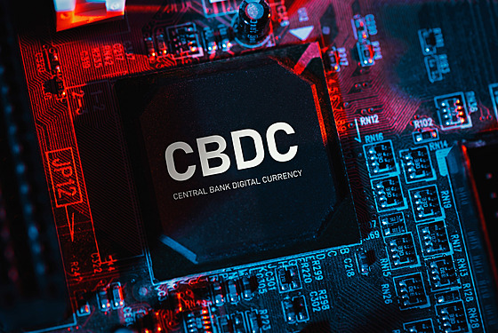 i CBDC (Central Bank Digital Currency)