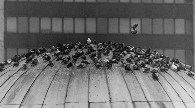Dobrá práce, nebo děs? Opravou obřího brutalistního kulturáku zmítají spory