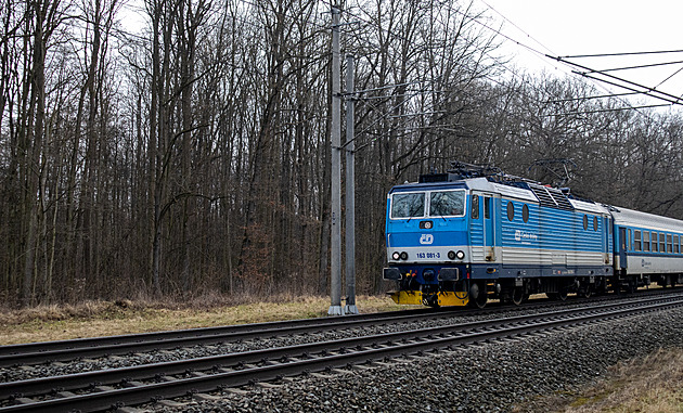 Trať z Olomouce na Prahu ohrožují padající stromy, napadla je houba z Asie