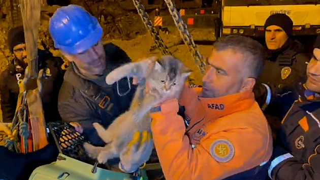 Po zemětřesení chtěli strhnout dům, ale... Kočku zachraňovaly drony i jeřáb