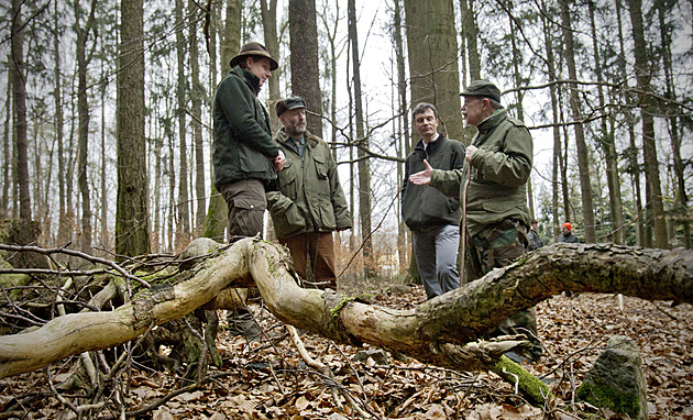 Zástupci Vojenských lesů a statků a vědci představili v Brdech u Skořic projekt...