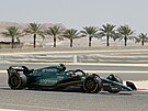 Fernando Alonso zail v Bahrajnu velmi zdailé ti dny test formule 1.