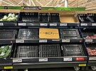 V tomto roním období se na pultech supermarket bn objevují britské saláty....