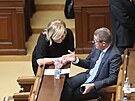 Jednání Poslanecké snmovny. Na snímku Andrej Babi a Alena Schillerová. (28....