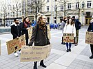 Studenti Masarykovy univerzity v Brn demonstrovali proti razantnímu zdraování...