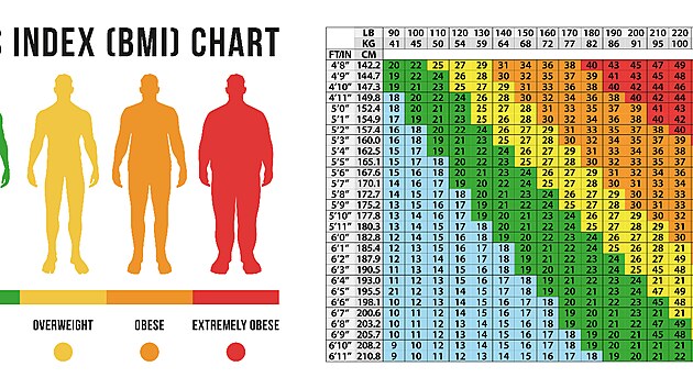 BMI je dalm z ukazatel, kter je teba brt vn.