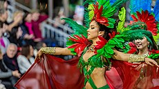 Portugalský ostrov Madeira se ponoil do tradiního karnevalu. Znamená to...