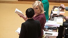 Jednání Poslanecké snmovny. Na snímku Alena Schillerová (ANO). (21. února 2023)