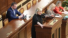 Jednání Poslanecké snmovny. Na snímku Alena Schillerová. (28. února 2023)