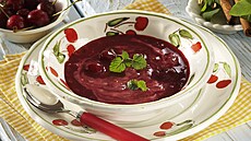 Vi��ov� pol�vka s jogurtem