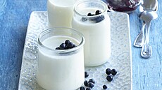 Recept na dom�c� jogurt