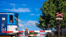 Jako ka�dé dít� i ná� syn m�l rád vlaky. Jednou jsme byli na náv�t�v� u...