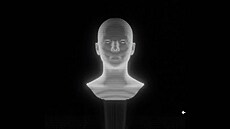 Androgenní hologram robota Vikiho