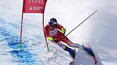 výcarský lya  Marco Odermatt na trati obího slalomu v Palisades Tahoe.