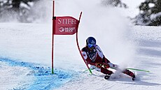 Rakouský lya Marco Schwarz na trati obího slalomu v Palisades Tahoe.
