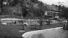 ZOO Praha v roce 1938 (12. dubna 1938)