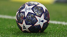 Liga mistr - ilustraní foto