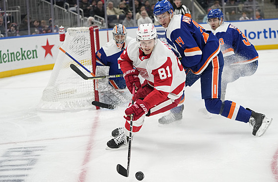 Levé kidlo Detroitu Dominik Kubalík bhem zápasu proti New Yorku Islanders.