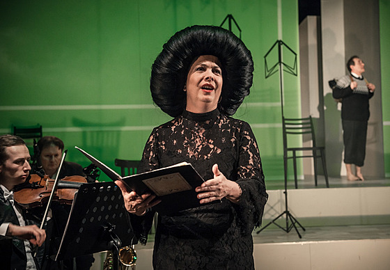 Hereka Ivana Hlouková strávila vtinu své kariéry v brnnském Divadla Husa...