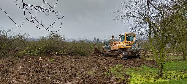 Pstitelé likvidují ovocné sady u Mohelnice.
