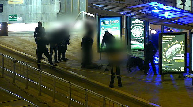 Velký pes pokousal u nádraží v Brně tři cestující, zkrotila ho až zbraň