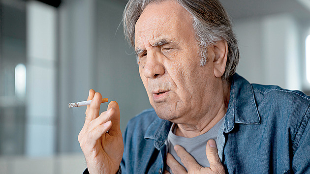 Revma vzniká v plicích. Nyní došlo k zlomu, už je lék, říká profesor Vencovský