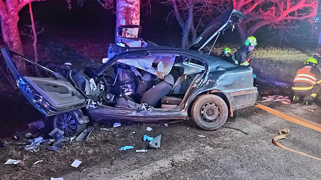 Chodce u Velešína smetlo auto, nepřežil. Jiný řidič skončil s vozem ve stromě