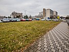 Na mstskch pozemcch u Fakultn nemocnice v Hradci Krlov maj vyrst dva...