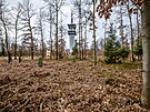 Hradec znovu uvauje o koupi smench les u Koliby. (27. nora 2023)