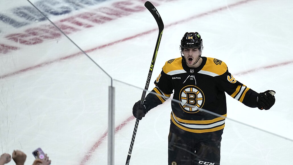 Jakub Lauko z Boston Bruins slaví sv�j gól.