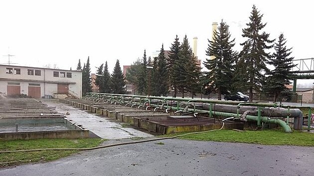 Sdky v Tisov u Sokolova vyuvaj k chovu oteplenou vodu z mstn elektrrny Sokolovsk uheln.
