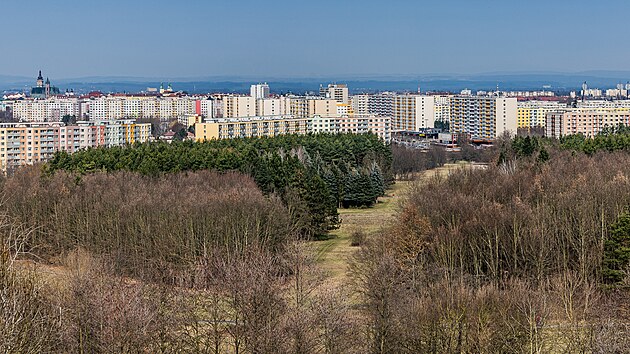 Neudrovan lesopark na hradeckm Moravskm Pedmst ekaj pravy. (23. nora 2023)