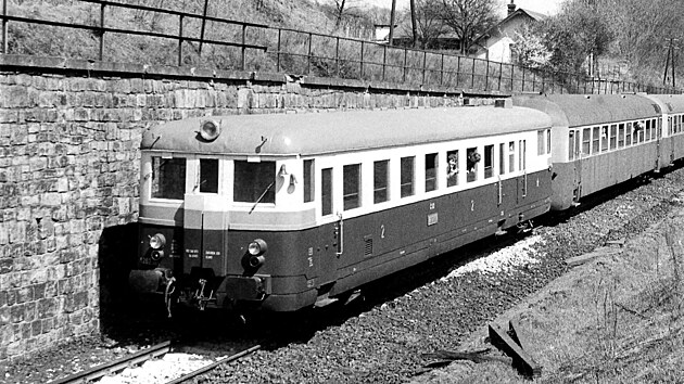 Motorový vůz 830.091 projíždí kolem oblíbeného místa železničních fotografů u stanice Střelice. Vyfoceno 20. dubna 1983.