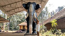 Indický chrám zane pouívat pi obadech mechanického slona