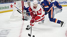Levé křidlo Detroitu Dominik Kubalík během zápasu proti New Yorku Islanders.