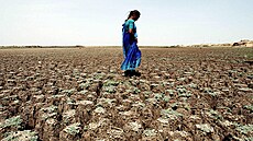 Jezero Osman Sagar, Indie, Asie. (2003)