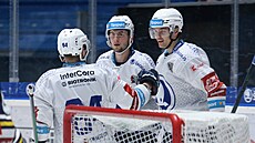 Plzeňští hokejisté se radují z gólu.