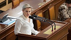 Mimoádná schze Snmovny k návrhu na omezení mimoádné ervnové valorizace...