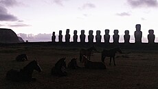 Moai jsou charakteristické monolitické vytesané kamenné postavy s protáhlými...