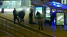 U hlavního nádra�í v Brn� ohro�oval lidi velký pes