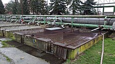 Sádky v Tisové u Sokolova vyuívají k chovu oteplenou vodu z místní elektrárny...