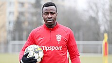 Mohamed Tijani, posila Zbrojovky Brno