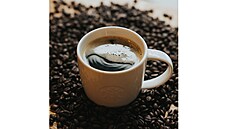 MD� - oslavujeme úsp�né �eny, bez kterých by Starbucks nemohlo existovat