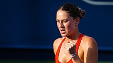 Ukrajinská tenistka Marta Kosťuková se raduje na turnaji v Dubaji | na serveru Lidovky.cz | aktuální zprávy