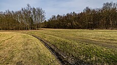 Lesopark pod svahem Rozárka na Novém Hradci