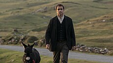 Colin Farrell ve filmu Víly z Inisherinu (2022)